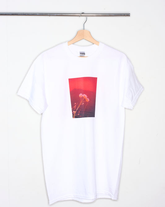 Alessandro Tranchini Shirt